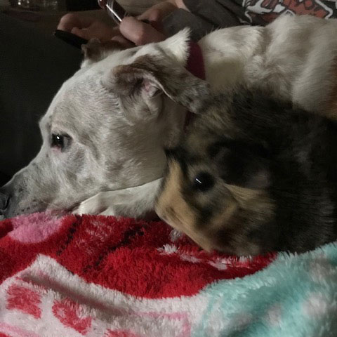 Maxie & Rosie